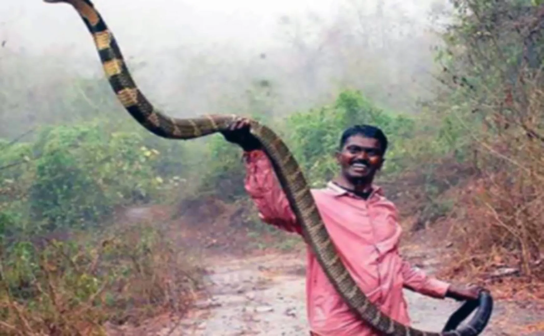 vava suresh